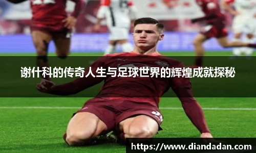 谢什科的传奇人生与足球世界的辉煌成就探秘