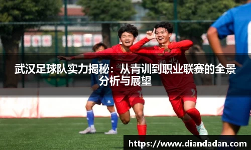 武汉足球队实力揭秘：从青训到职业联赛的全景分析与展望