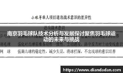 南京羽毛球队技术分析与发展探讨聚焦羽毛球运动的未来与挑战
