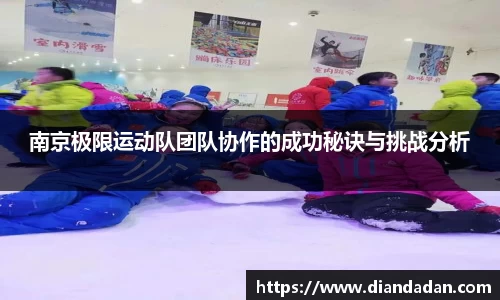南京极限运动队团队协作的成功秘诀与挑战分析